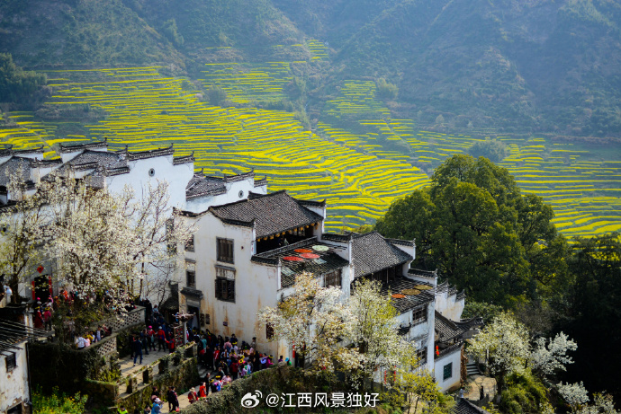 江西之光，学习变化的力量与自信的征程之旅