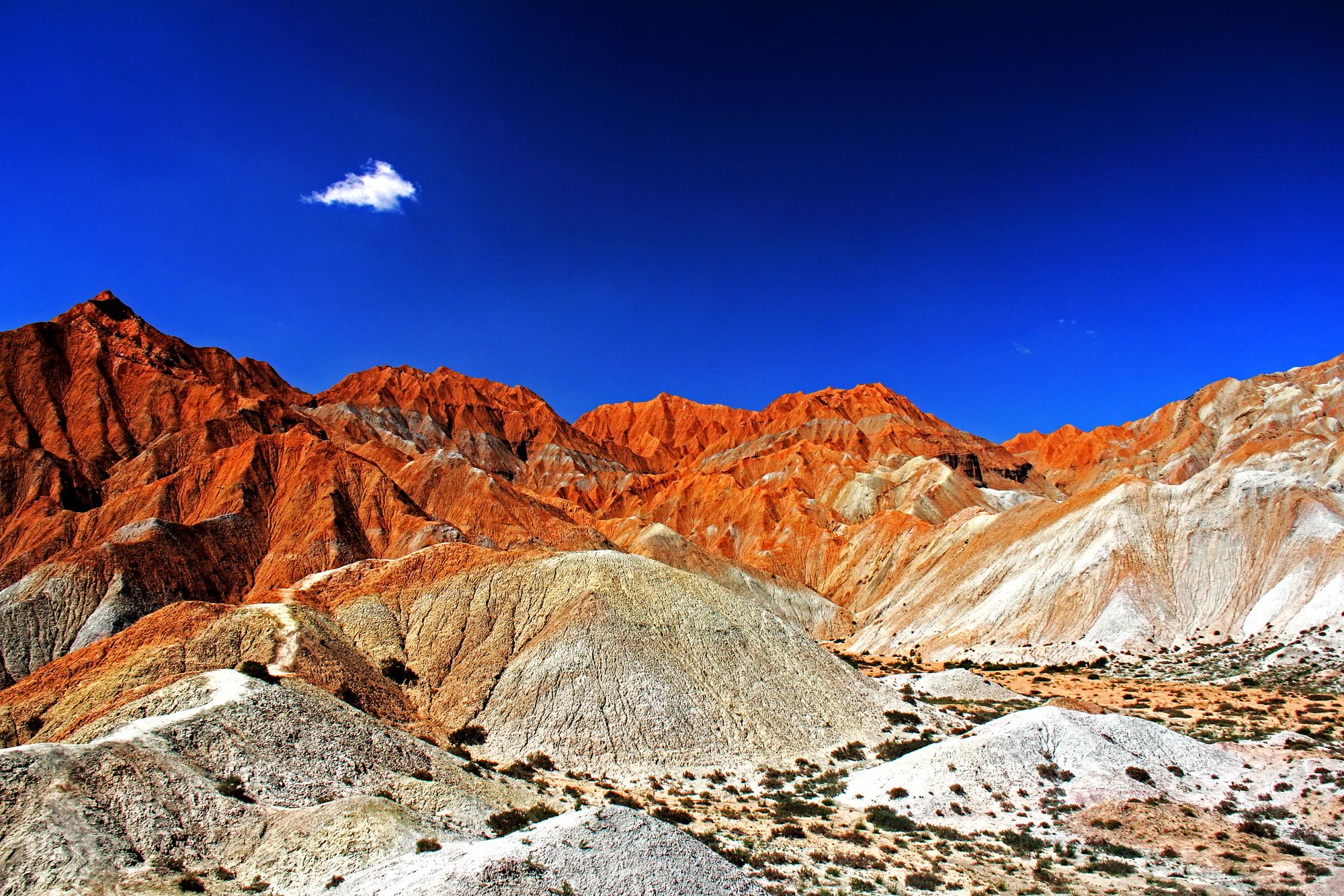 青海暖阳下的欢乐时光篇章