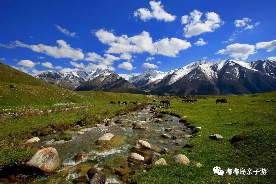 新疆,多元文化交融的瑰宝之地